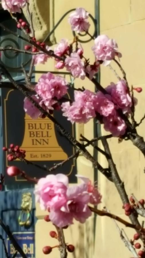 Blue Bell Inn Sorell Εξωτερικό φωτογραφία